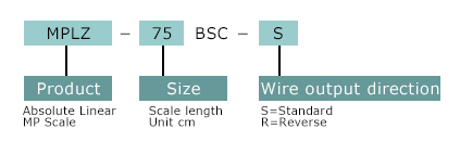 Scale Type