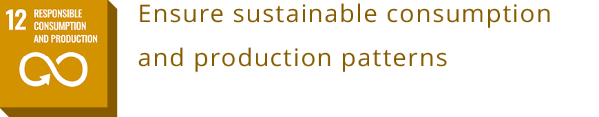 12 RESPONSIBLE CONSUMPTION AND PRODUCTION<br>Ensure sustainable consumption and production patterns