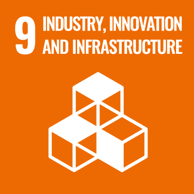 9 INDUSTRY, INNOVATION AND INFRASTRUCTURE<br>Build resilient infrastructure, promote sustainable industrialization and foster innovation