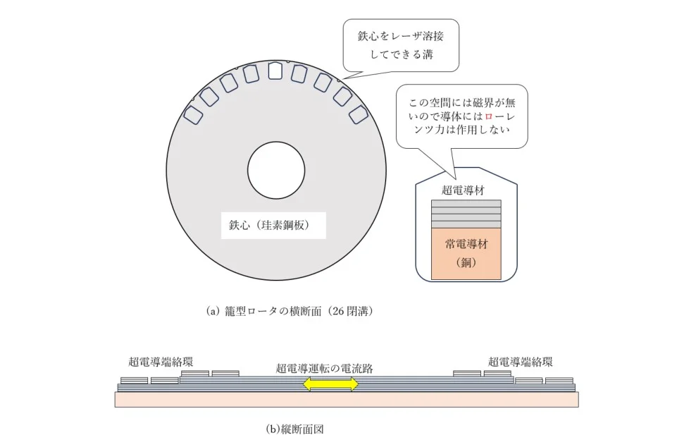 左:単極(unipolar)磁石と右:異極 (heteropolar)磁石を比べるとどんなことが言えるだろうか?