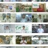 会社案内動画