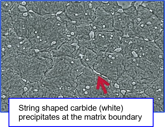Structure after general heat treatment