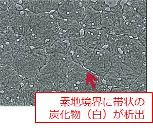 一般的な熱処理後のハイス組織