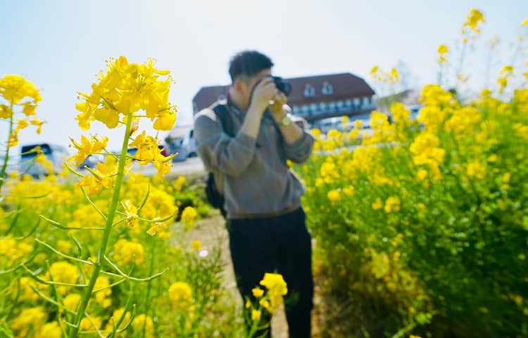 休日の過ごし方