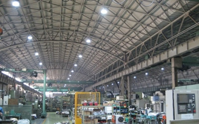 Plant LED lighting