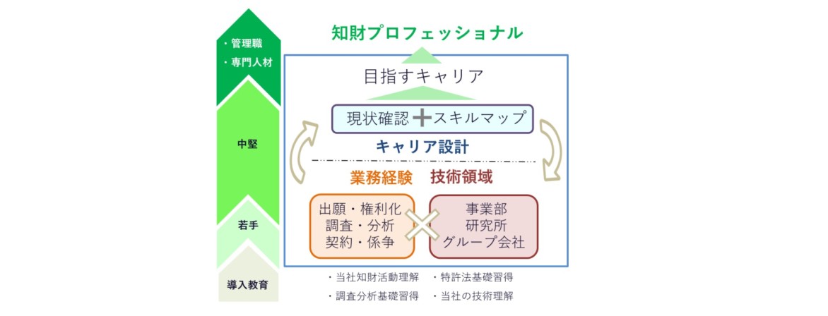 知財プロフェッショナル人材の育成