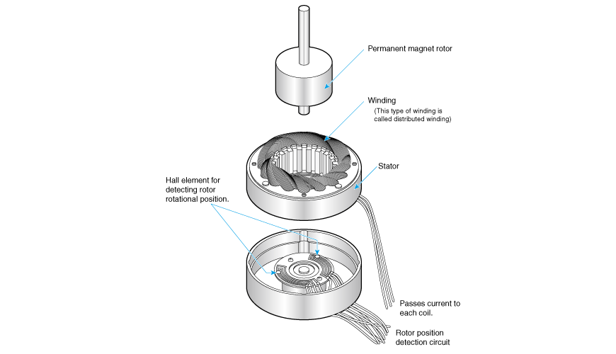 Structure of brushless DC motors