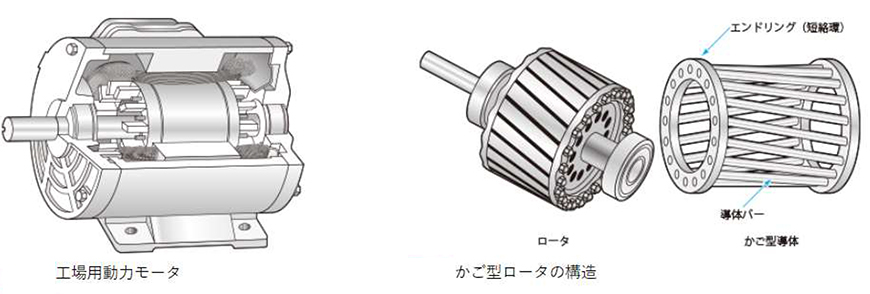 かご型のロータ構造