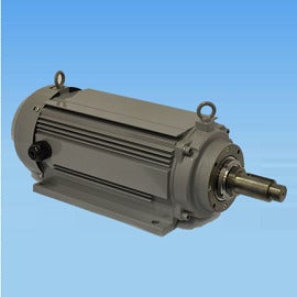 Special Purpose Motors(Fully enclosed fan type)