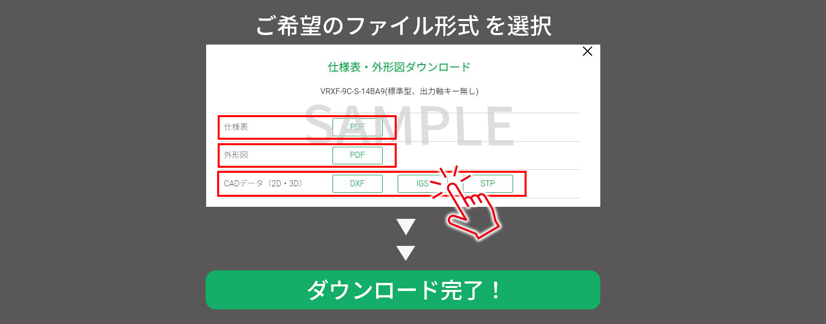 STEP4：ファイル形式の選択画面